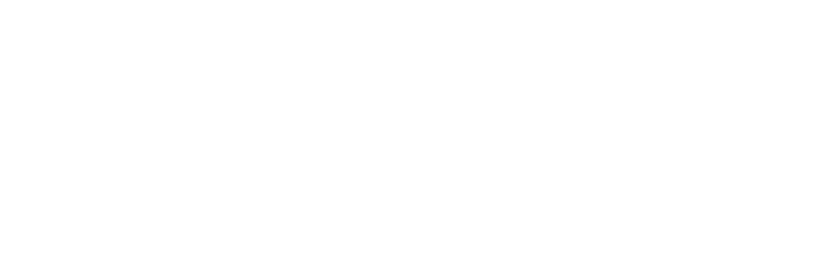 AnalogX